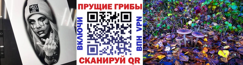 Галлюциногенные грибы MAGIC MUSHROOMS  Ясный 
